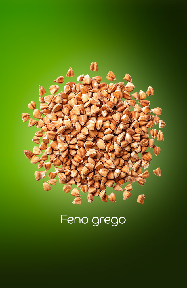 Feno-grego