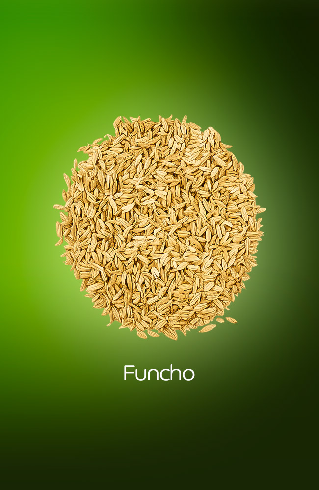 Funcho