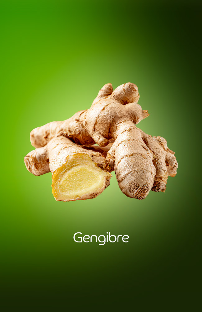 Gengibre