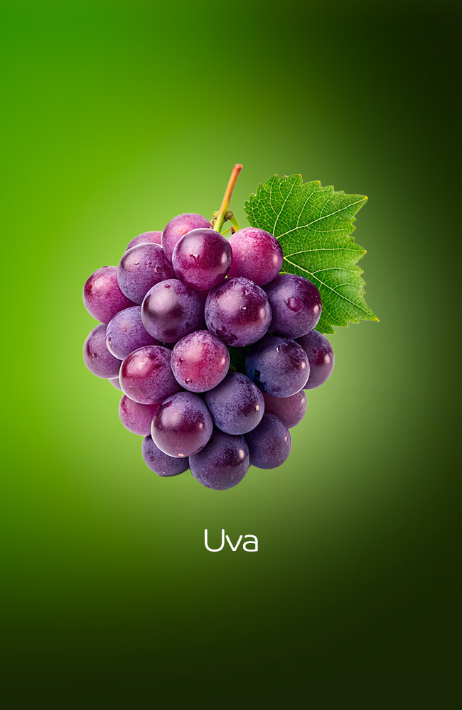 Uva